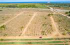 0.125 ac Land at Vipingo - 8