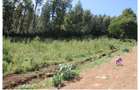 0.10 ha Residential Land at Ngong Road - 9