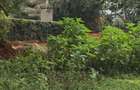 Land in Karen - 3