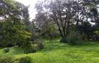 Residential Land at Lavington Green - 5