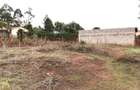 0.25 ac Commercial Land in Kamangu - 5