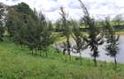 Residential Land at Migaa Golf Estate - 8