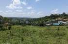 0.25 ac Land at Kibiko - 3
