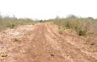 0.25 ac Residential Land at Diani Beach Road - 9