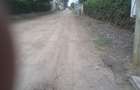 0.5 ac Land in Ongata Rongai - 14