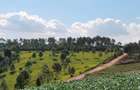 2 ac Land at Off Tigoni - Kabuku Rd - 12