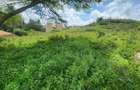 0.2 ha Commercial Land at Merisho Road - 10