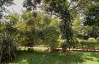 Residential Land at Old Runda - 6