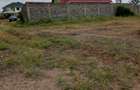 0.125 ac Residential Land at Kamakis - 3