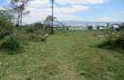 25 ac Land at Moi South Lake Rd - 7