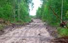 Land in Diani - 5