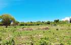 Land at Diani Beach - 14