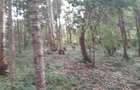 0.5 ac Residential Land at Old Kitisuru - 11