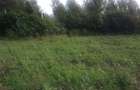 0.25 ac Land in Ngong - 5