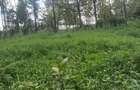Land at Kibiko Ngong - 12