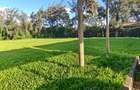0.5 ac Commercial Land in Karen - 1