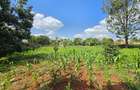 Residential Land in Runda - 9