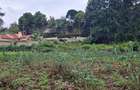 0.5 ac Land in Ngong - 6