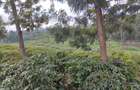 100 ac Land at Thika Road - 3