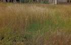 Land in Karen - 5