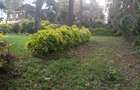 Land at Kibiko Ngong - 4