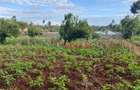 4,000 m² Land in Limuru - 6