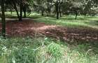 0.125 ac Land at Thika Grove Chania-Opposite Blue Post Hotel - 12