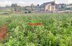 0.2 ha Residential Land at Ondiri - 8