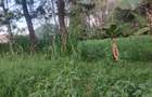 Land at Kibiko Ngong - 16