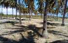 20 ac Land at Kikambala Beach - 6