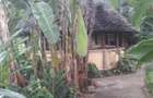 8,094 m² Residential Land at Mtepeni Area - 7