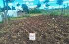 0.125 ac Land at Oloropil Ward - 9