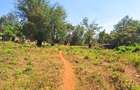 0.75 ac Commercial Land at Thindigua - 4