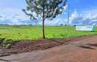 0.125 ac Residential Land at Exit 13 Behind Spur Mall - 1