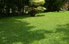 0.475 ac Land in Ngong Road - 10