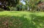 Residential Land at Nairobi - 15
