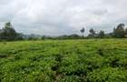 1 ac Land at Riara Ridge - 1