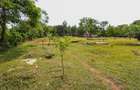 2.5 ac Land in Shanzu - 2