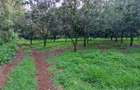 0.5 ac Commercial Land at Juja Gatundu Road Touching The Tarmac - 9