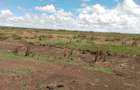 Land in Rumuruti - 2