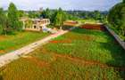 0.05 ha Residential Land at Ondiri - 9