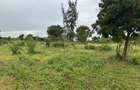 3.8 ac Land in Vipingo - 12