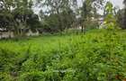1 ac Land in Runda - 2