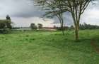 7.5 ac Land at Kikuyu Town - 4