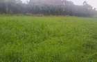0.5 ac Land in Runda - 2