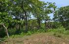 1.2 ac Land at Mtwapa Creekside - 3