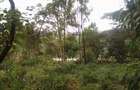 0.5 ac Land at Muthiga Off Waiyaki Way - 7