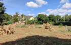 0.5 ac Land at Riviera - 7