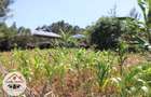 700 m² Residential Land at Kamuita Area - 1