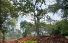 Land in Karen - 5